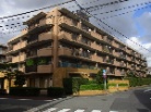 ドルミ中野弥生町