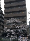 コンシェリア早稲田グリーンフォレスト