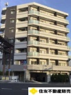ライジングプレイス向島