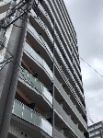 メインステージ板橋本町