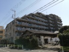 ライオンズガーデン金町