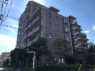 レクセルマンションお花茶屋