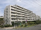 すまいる亀有