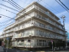 ソフトタウン亀有