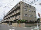 グレースヒル水元公園