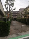 エヴァーグリーン金町