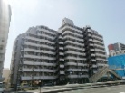 ソフトタウン綾瀬