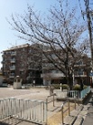 アドバンスDC金町