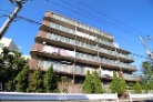 パレ南池上