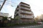 コスモ池上