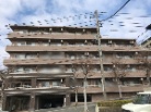 アルシア市が尾