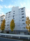 ライオンズマンション尾山台