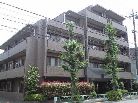 シーダム等々力