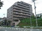 ルピナス四季の森公園
