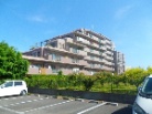 レクセルガーデン武蔵砂川