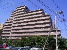 ロイヤルステージ福生