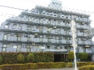 セザール西国立