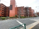 シャンボール学芸大学