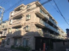 ドム学芸大