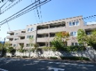 シェルゼ砧