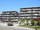 レックス横浜上大岡