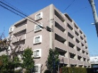 ディーレスティア上大岡