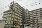 メイツ川口