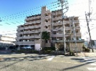 グリーンミユキ川口青木