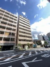 カテリーナ川口並木