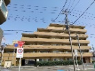 サンクレイドル川口東領家