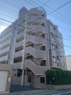 モリス川口