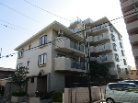 コスモ川口並木町