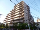 ザウィンベル本蓮沼