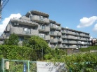 ライオンズヒルズ成増