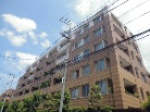ライオンズガーデン志村