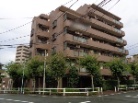 ソフィア板橋蓮根