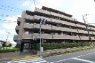 コスモ成増グランヒル