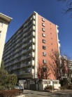 光が丘パークタウンゆりの木通り