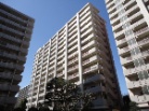 光が丘パークタウン大通り北