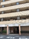 コスモ光が丘公園