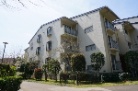 ゆりの木通り北