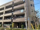 ルイシャトレ東武練馬ルミエール