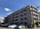 レクセル成増