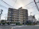 ウィルローズ和光
