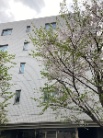 アデニウム志村ブルームフォート