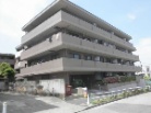 マイキャッスル宝