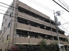 セレネ成増