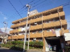 ライオンズマンション岸谷公園