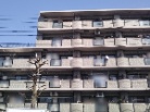 ビッグヴァン三ッ池公園
