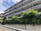 アリュール鶴見寺谷